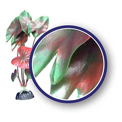 Weco Freshwater Series Red Tiger Lotus Ornament, 9" Cover