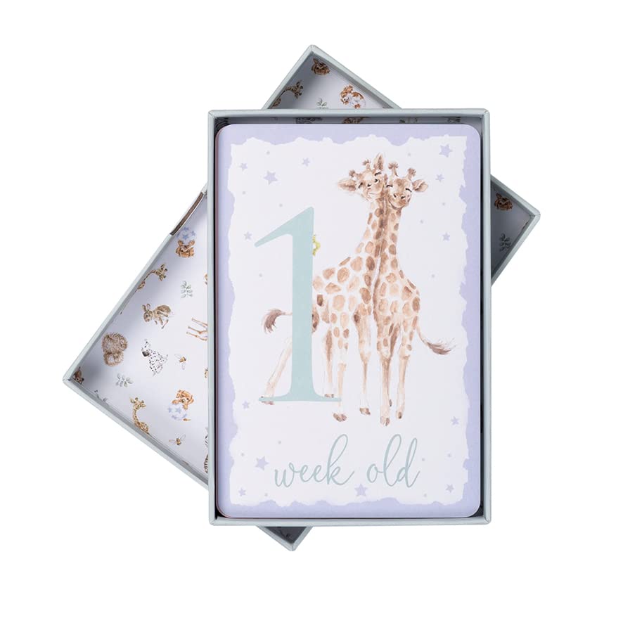 Wrendale Designs - 'Wrendale Designs Baby Milestone Cards - Image 4