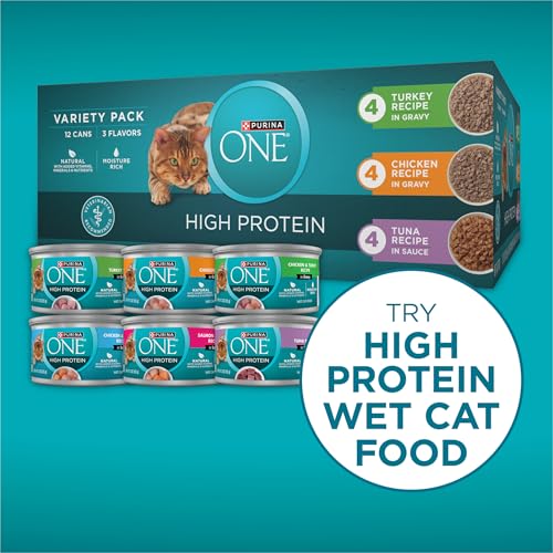 Purina ONE Plus High Protein Cat Food Dry Salmon and Ocean Whitefish Cat Skin and Coat Health Formula - 7 lb. Bag - image 8