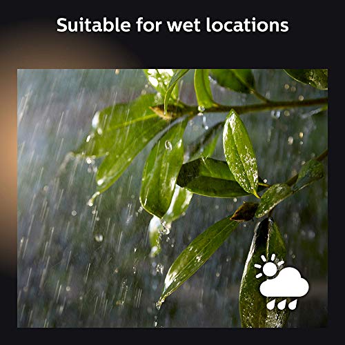 Philips Hue White & Color Ambiance Outdoor LightStrip 2m/7ft (Requires Hue Hub, Works with Amazon Alexa, Apple HomeKit, and Google Assistant) - Image 5