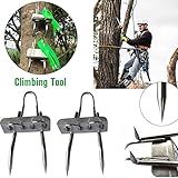 Enhanced Edition 304 Stainless Steel Tree Climbing Tool - Multifunction Pole Climbing Spikes Hook Non-Slip Climbing Tree Shoes for Hunting Observation Picking Fruit (4 Scratch)