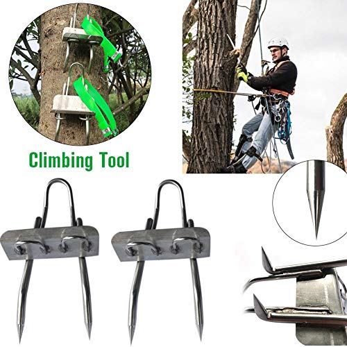 Enhanced Edition 304 Stainless Steel Tree Climbing Tool - Multifunction Pole Climbing Spikes Hook Non-Slip Climbing Tree Shoes for Hunting Observation Picking Fruit (4 Scratch)
