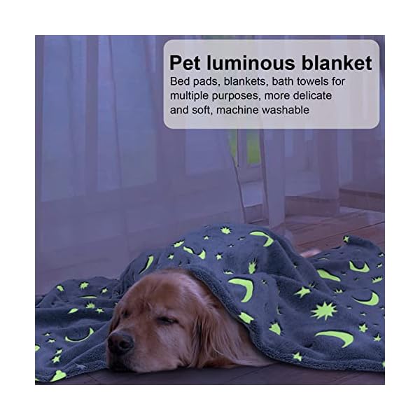 Star Moon Dog Throw Blanket Glow in The Dark, Pet Throw Blankets Luminous, Soft Fleece Plush Glow Throw Blankets for Small Dogs Puppy Cats Grey L Star Moon Dog Throw Blanket Glow in The Dark, Pet Throw Blankets Luminous, Soft Fleece Plush Glow Throw Blankets for Small Dogs Puppy Cats Grey L