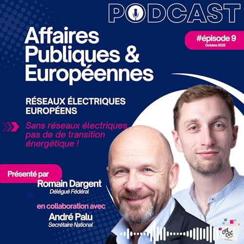 &Eacute;nergies en clair - &Eacute;pisode 9 : Sans r&eacute;seaux &eacute;lectriques, pas de transition &eacute;nerg&eacute;tique