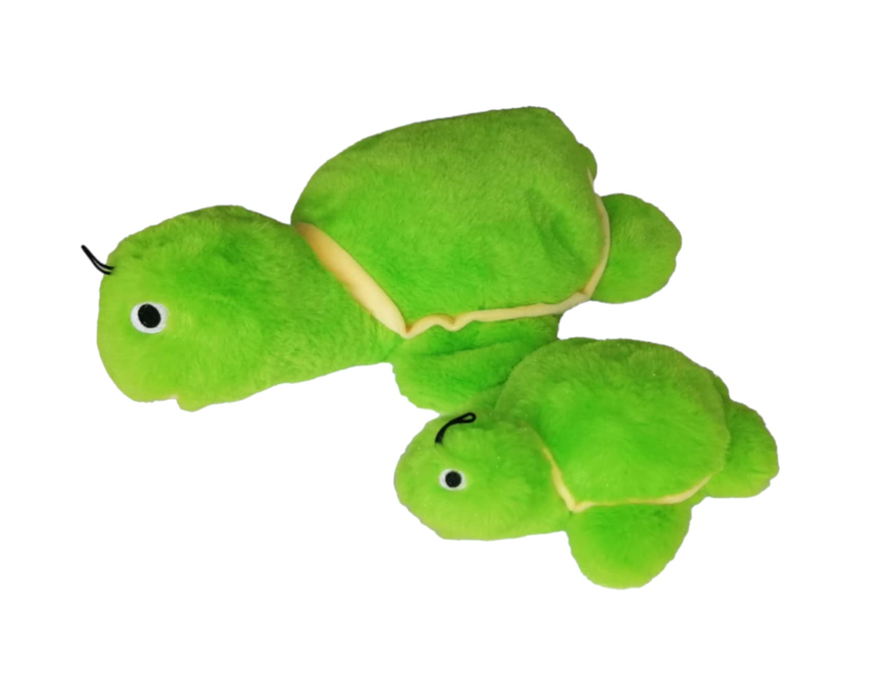 Gor Pets Hugs Baby Tortoise (20cm) Green