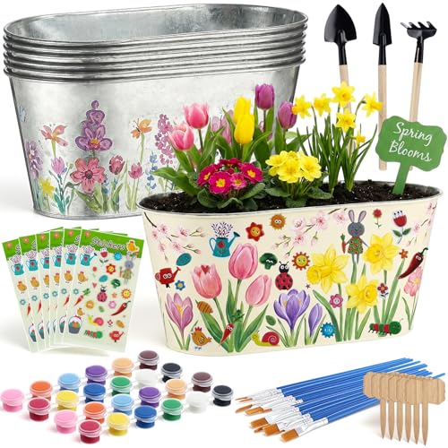 Ferrochef 6 Sets Flower Pot Painting Kit DIY 6 Large Metal Iron Plant Pots Acrylic Paint Stickers...