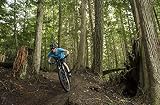 JOCHEN SCHWEIZER Geschenkgutschein: Mountainbike Kurs Kelheim (6 Std.)