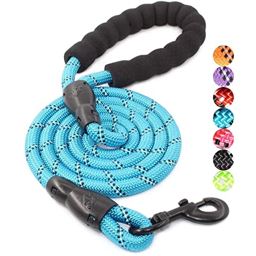 best rope leash