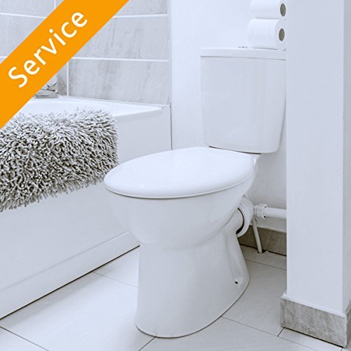 Toilet Replacement