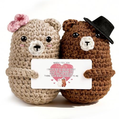 WenmthG Bear Couple Crochet Gift – Handmade Knitted Bear Lovers