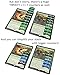 Futhark MTG Stat Counters/Buff Counters for Magic The Gathering - Set of 60 Color Coded MTG Tokens - Improved Gameplay with This Great Magic The Gathering Gift