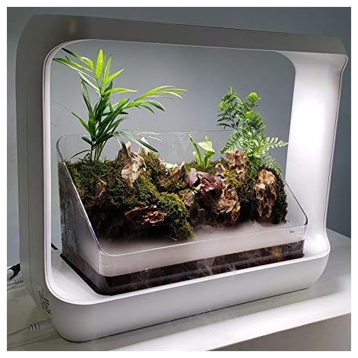 Lifegard R440871 LED Rock Garden Kit with Terrarium Waterfall & Fogger, White