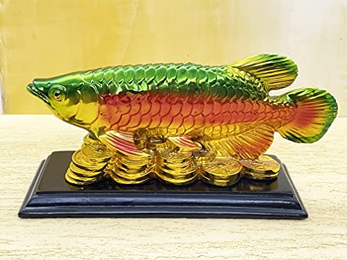 Image of Fengshui Exclusive Medium Size Polyresin Multicolor Arowana Fish Showpiece for Office Decor, Home Decoration (AF-2562)