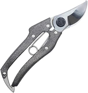 Nishigaki pruning shears professional 200N-202 N-202 (japan import)