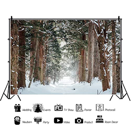 Fondo Fotográfico 10x8ft Tema Invierno Yeele miniatura 4