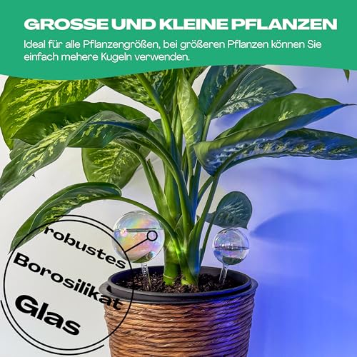 Bewässerungskugel Netrox 2er Set aus Glas 400ml und 180ml