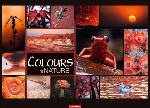 Colours of Nature Kalender 2026: Großer Foto-Wandkalender im Querformat 68 x 49 cm. Natur-Kalender 2026 mit harmonischen Bild- und Farbkompositionen für jeden Monat.