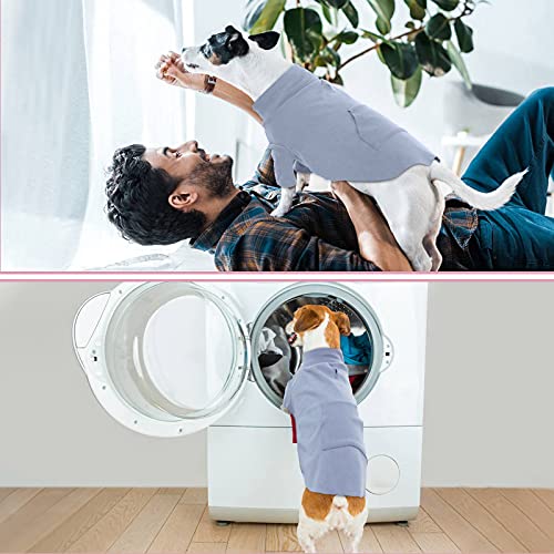 Dora Bridal Dog Fleece Sweater-Pullover Dog Fleece Vest With Harness Hole-Solid Fleece Dog Pajamas-Spring Dog Fleece Clothes-Stretchy Fleece Dog Sweater For Small Medium Dogs-Blue-Xs #TOP3