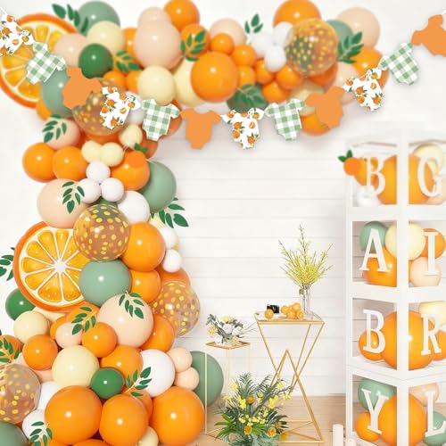 Image of Whaline Orange Theme Bodysuit Banner Hanging Garland Green Plaid Little Cutie Citrus Fruit Hanging Banner DIY Required for Baby Shower Gender Reveal Birthday Party Home Wall Window Decor