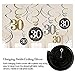 30th Birthday Decorations Kit for Men & Women 30 Years Old Party, NO Assembly Required - Black Gold Happy Birthday Banner, Hanging Swirls, Circle Dots Hanging Decoration, Number 30 Table Confetti