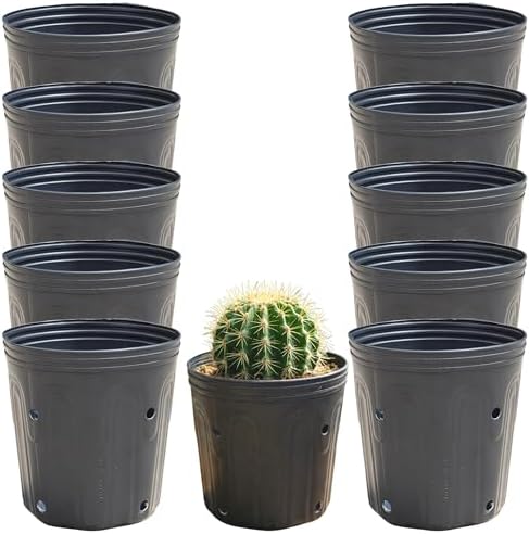 Kit 10 Vaso Embalagem 1 Litros Flexível para Flores, Frutíferas, ...