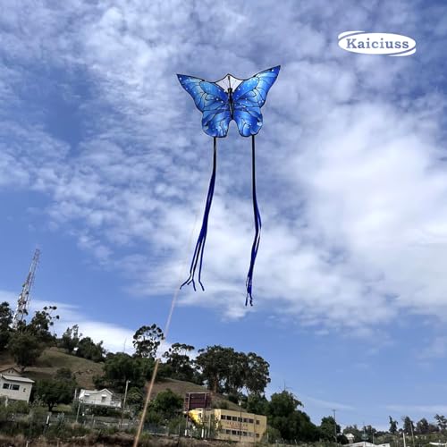 image for Kaiciuss Pair of Butterfly Kites with Reels Set, 55’’ x 28’’ B