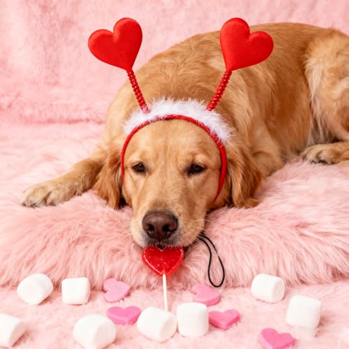 Vincha de corazón para perro rojo tamaño mediano y grande miniatura 5