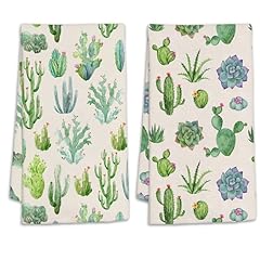 Cactus and Succulent