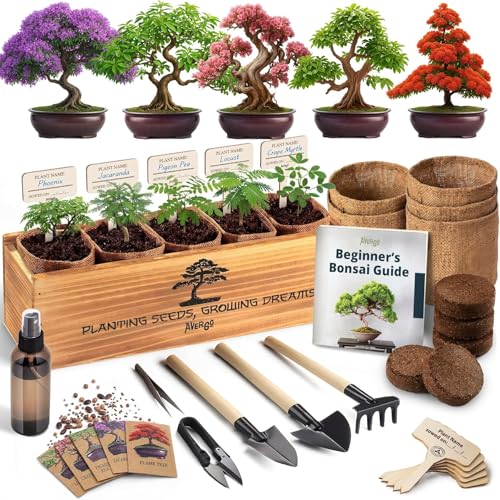 AVERGO Bonsai Tree Kit Classic - 5X Unique Japanese Bonzai Trees | Complete Indoor Bonsai Starter...