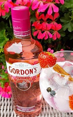 Gordons Pink Gin Gift Set Box