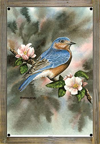 Northwest Art Mall Bluebird Metal Print on Reclaimed Barn Wood from Watercolor by Artist Dave Bartholet 12" x 18"