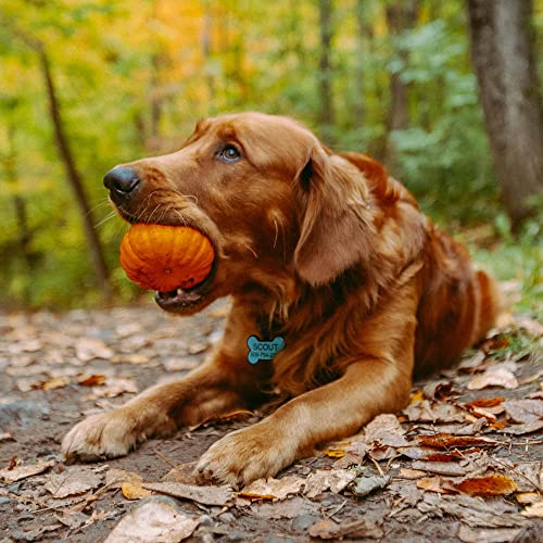 Gotags Silent Silicone Pet Tag, Personalized Dog Tags And Cat Tags, Up To 8 Lines Of Custom Text, Deep Engraving On Both Sides (Round, Gray) #TOP4