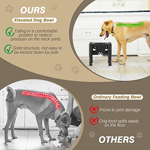 Lewondr Ciotola per Cani Rialzata, Ciotole per