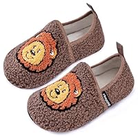 WateLves Kids Slippers Boys Winter Warm House Shoes With Anti-Slip Sole (Brown Lion,22/23)