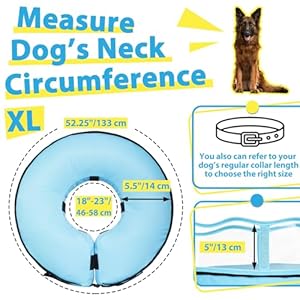 BARKLESS-Dog-Cone-Collar-Dog-Donut-Collar-After-Surgery-to-Stop-Licking-Inflatable-Dog-Cone-with-Sturdy-Shield-for-Large-Medium-Dogs-Cone-of-Shame-Alternatives-Not-Block-Vision - Cucciolini Doodles   BARKLESS-Dog-Cone-Collar-Dog-Donut-Collar-After-Surgery-to-Stop-Licking-Inflatable-Dog-Cone-with-Sturdy-Shield-for-Large-Medium-Dogs-Cone-of-Shame-Alternatives-Not-Block-Vision