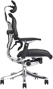 Amazon.co.jp: 【旧型】 エルゴヒューマン プロ オフィスチェア