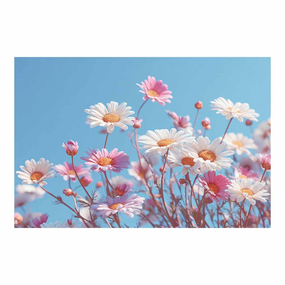 ZAMAEIU Nature Wall Art Daisys Clusters decorative home accessories, paintings wall art,For living room, bedroom, Apartment Corridor Office etc.(pink)-80x120cm Unframed
