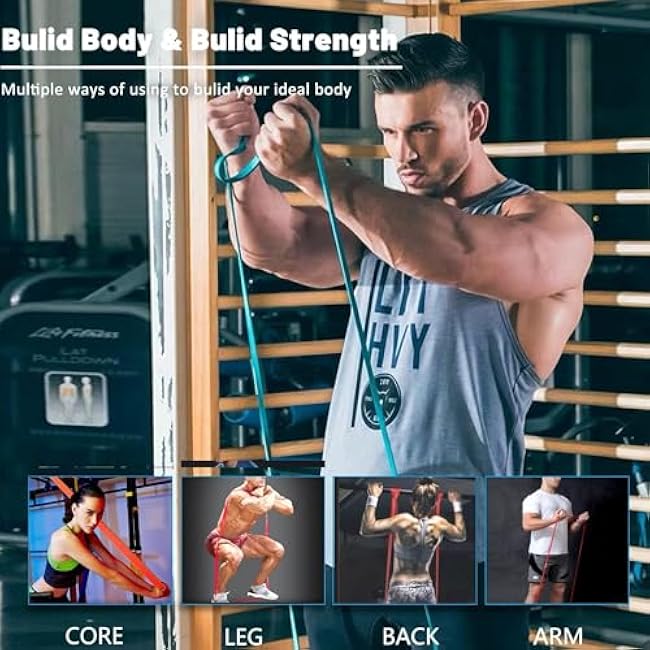 Premium Resistance Bands Set of 5, Exercise Bands, Workout Bands Set for Working Out with Handles for Men Women- Includes 2 Handles,2 Hooks,Storage Bags