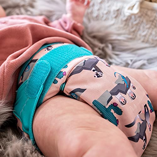 Miniatura 7 de Close Pop-In Pañal De Tela Lavable Reutilizable Bambú Talla Única Adaptable Hasta 16kg, Unisex, Ferret