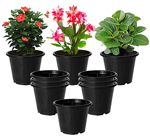Image of Kuber Industries Durable Plastic Flower Pot|Gamla with Drain Holes for Indoor Home Decor & Outdoor Balcony,Garden,6 inchx5 inch,Pack of 10 (Black)