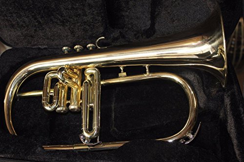 SALE BRAND NEW BRASS Bb FLUGEL HORN+FREE CASE+MOUTHIPICE+FAST SHIPPING