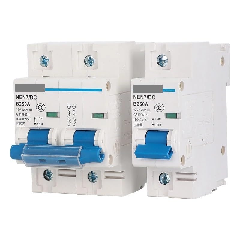 Salvavita Riarmo Automatico 1 pz 12V 24V 36V 48V 60V 72V 96V 120V DC Interruttore automatico Celle 80A 100A 125A 150A 200A 250A(2P,80A)