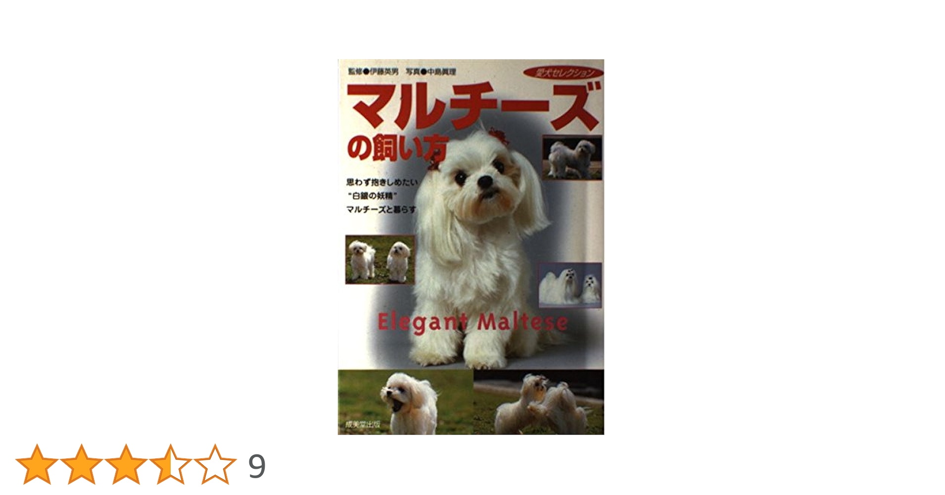 マルチーズの飼い方: 思わず抱きしめたい“白銀の妖精”マルチーズ