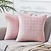 Topfinel Cojines Terciopelo Funda Cojin 60x60 cm Suaves Fundas Cojines Sofa Sólido Fundas de Cojines Soft Cama Jardin Sala de Estar Dormitorio Hogar Silla Juego de 2 Rosa con Cierre
