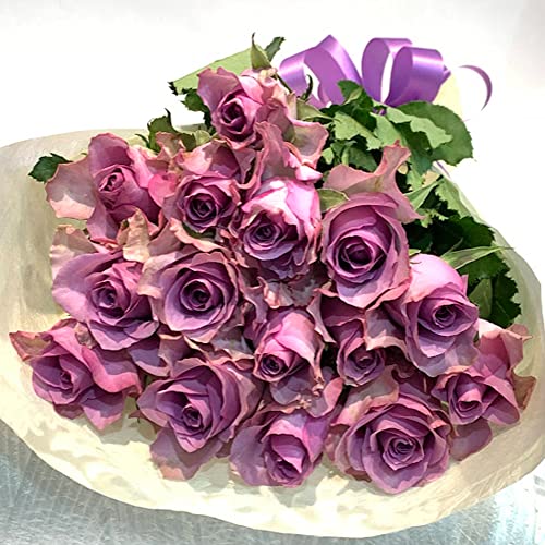 紫バラ15本の花束 生花 ムラサキバラ 東京銀座クオリティ 紫色 バラ 薔薇 ばら 花束 お祝い 誕生日 記念日 入学 母の日 父の日 プレゼント ギフト プロポーズ 結婚 退職 還暦 長寿 米寿 古希 喜寿 金婚式