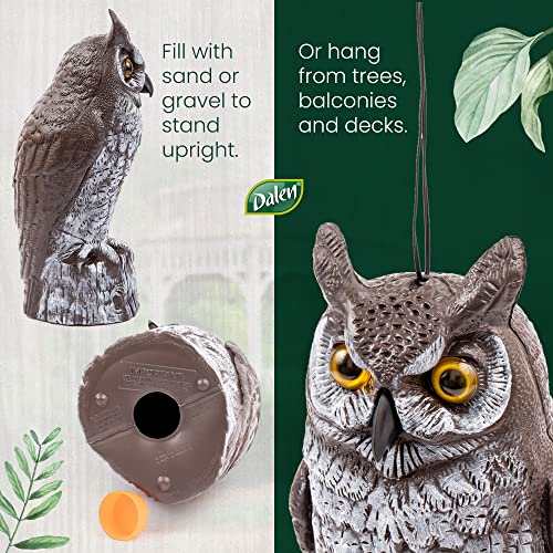 Dalen Fake Owl Decoy To Scare Birds Away From Gardens, Rooftops, And Patios - Scarecrow Provides Chemical-Free Pest Control - Safe And Humane, 16" Great Horned Owl #TOP6