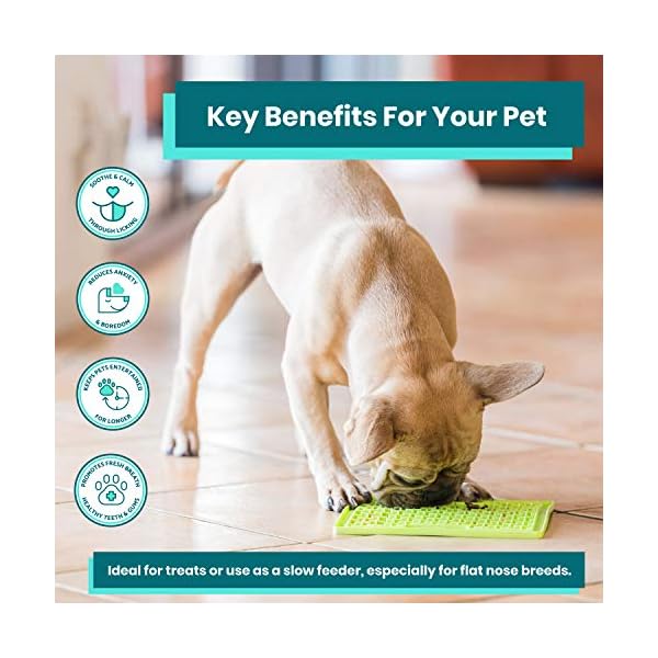 Lickimat-Classic-Dog-Slow-Feeders-Lick-Mat-Boredom-Anxiety-Reduction-Perfect-for-Food-Treats-Yogurt-Peanut-Butter-Fun-Alternative-to-Slow-Feed-Dog-Bowl-Green-Turquoise-Soother-Buddy Turquoise LickiMat Tuff Soother - A Durable and Fun Dog Feeder for All Breeds