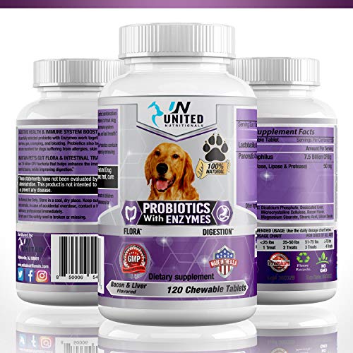 United Nutritionals Probiotics With Enzymes For Dogs, Digestive Support, Improves Upset Stomach, Bad Breath, Constipation, 7.5 Bill Cfus - 60/120 Chew-Able Tablets. (60) #TOP6