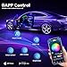 Dreamcolor Acrylic Interior Car LED Strip Light with Wireless APP, RGB 6 in 1 with 175 inches 593 LEDs Fiber Optic Strip Lights for Car, Dynamic Chasing Music Sync Neon Car Ambient Lighting Kits