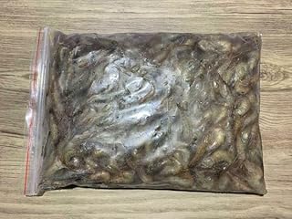 冷凍魚給餌ガイド書